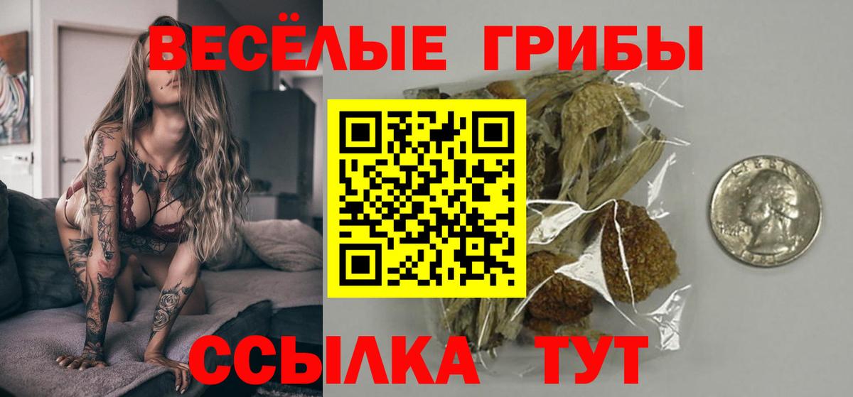Березники  Галлюциногенные грибы Psilocybine cubensis  Вход с VPN 