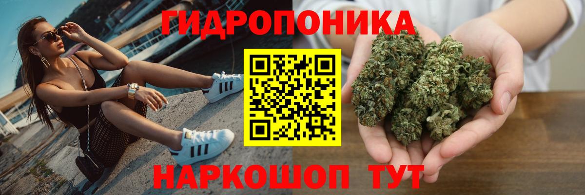 Конопля LSD WEED  Бошки марихуана тримм  Березники  Вход с VPN  Бошки Шишки VHQ  Канабис THC 21% 